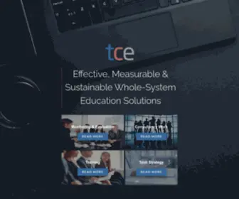 Theconsultants-E.com(Effective, Measurable & Sustainable Whole-System Education Solutions) Screenshot