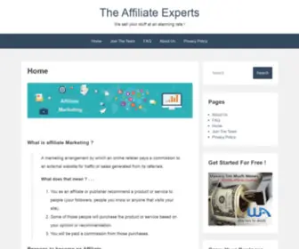 Theaffiliateexperts.com(The Affiliate Experts) Screenshot