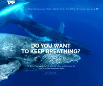 Theanimalfund.net(Save our Whales and Dolphins) Screenshot