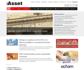 Theasset.nl(The Asset Magazine) Screenshot