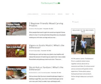 Thebackyardpros.com(The Backyard Pros) Screenshot