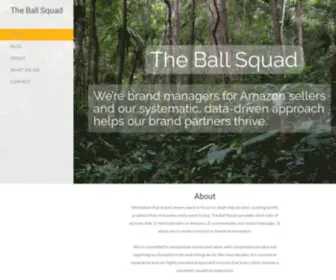 Theballsquad.com(The Ball Squad) Screenshot