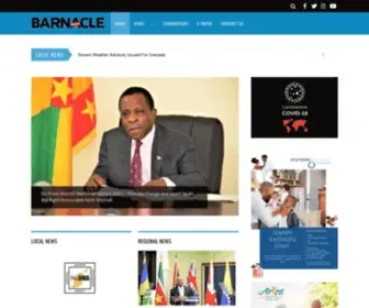 Thebarnaclenews.com(The Barnacle News) Screenshot