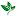 Thebasil.in Favicon