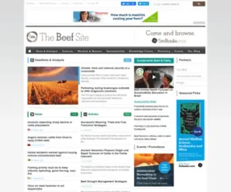 Thebeefsite.com(Beef Cattle) Screenshot