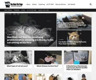Thebestcatpage.com(The Best Cat Page) Screenshot