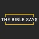 Thebiblesays.com Favicon