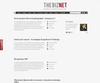 Thebiznet.fr(Avis d'entreprises) Screenshot