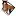 Theblackequestrian.com Favicon
