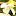 Thebloompot.com Favicon