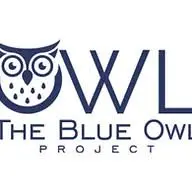Theblueowlproject.com Logo