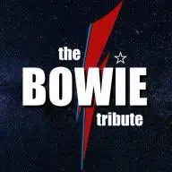 Thebowietribute.com Favicon