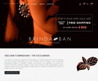 Thebrindaban.com(Jewelry per Diem) Screenshot