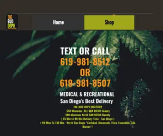 Thebuddepo.com(The bud depo) Screenshot