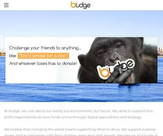 Thebudge.com(BUDGE) Screenshot