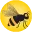 Thebuzz.academy Favicon