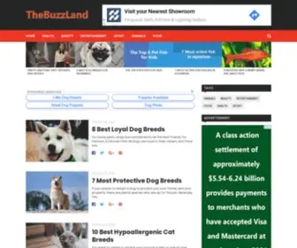 Thebuzzland.com(The Buzz Land) Screenshot