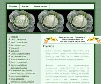 Thecabbage.ru(Капуста) Screenshot