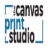 Thecanvasprintstudio.co.uk Favicon