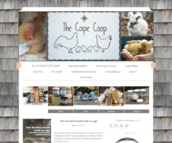 Thecapecoop.com(The Cape Coop) Screenshot