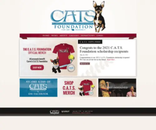 Thecatsfoundation.com(C.A.T.S) Screenshot