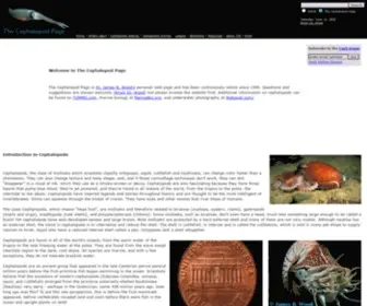 Thecephalopodpage.org(The cephalopod page features the class of marine mollusks) Screenshot