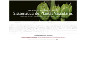 Thecompositaehut.com(Laboratorio de Sistemática de Plantas Vasculares) Screenshot