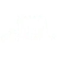 Thecorporationevents.com Favicon