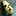 Thedailyspud.com Favicon