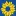 ThedaisymGtcentre.com Favicon