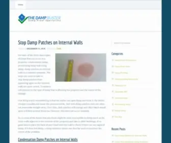 Thedampbuster.com(The Damp Buster) Screenshot