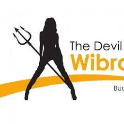 Thedevilwearswibra.nl Favicon