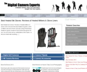 Thedigitalcameraexperts.com(Digital Camera Information) Screenshot