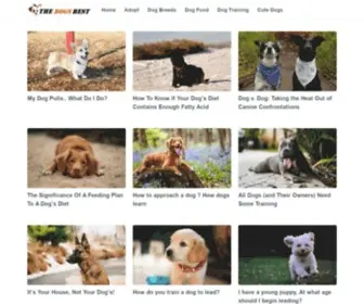 Thedogsbest.com(The Dogs Best) Screenshot