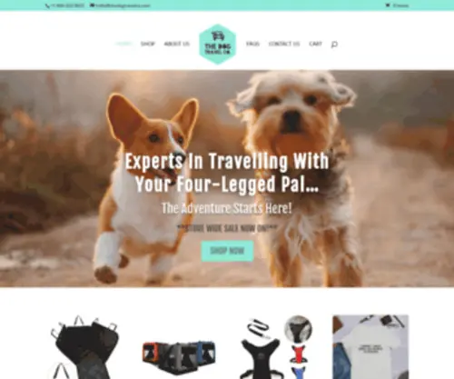 Thedogtravelco.com(The Dog Travel Co) Screenshot