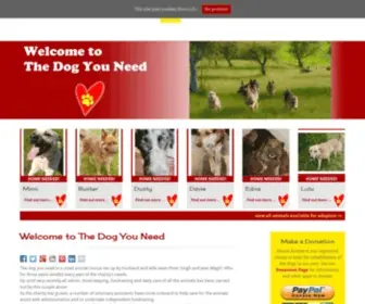 Thedogyouneed.com(临沧市供应室设备老肯有限责任公司) Screenshot
