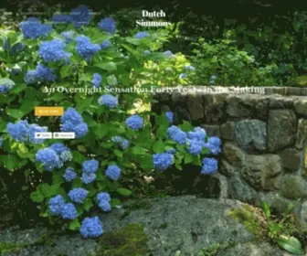 Thedutchsimmons.com(An Overnight Sensation) Screenshot