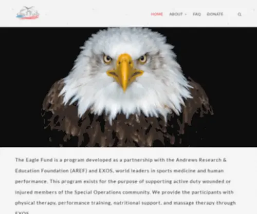 Theeaglefund.org(The Eagle Fund) Screenshot