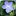 Theeponymousflower.com Favicon