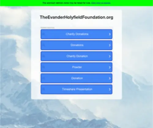 Theevanderholyfieldfoundation.org(Theevanderholyfieldfoundation) Screenshot