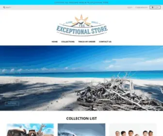 TheexceptionalStore.com(The Exceptional Store) Screenshot