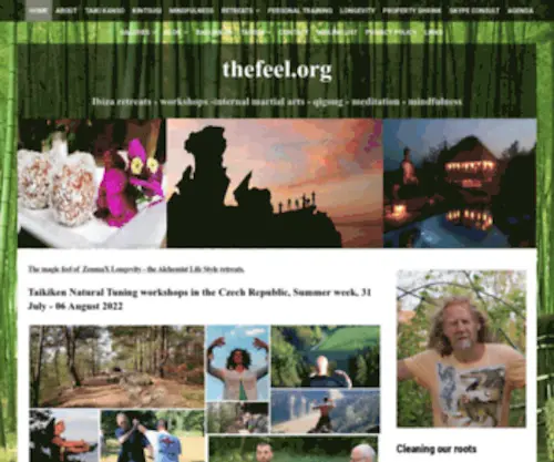 Thefeel.org(Ibiza retreats) Screenshot