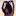 Thefitty.com Favicon