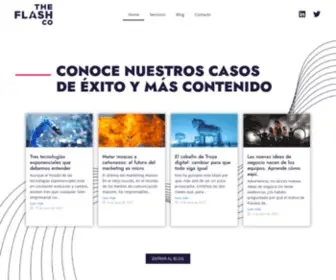 Theflashco.com(Consultoría de Marketing) Screenshot