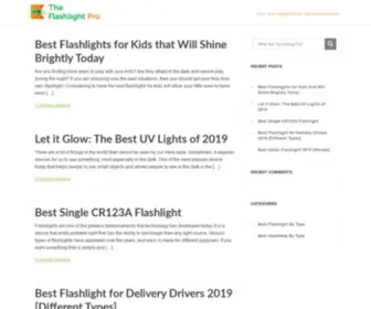 Theflashlightpro.com(The Flashlight Pro) Screenshot
