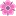 Theflowers.su Favicon