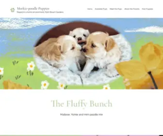 Thefluffybunch.com(Thefluffybunch) Screenshot