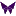 Thefreedomhub.org Favicon