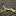 Thefuriousgazelle.com Favicon