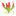 Thegardenofedenflowers.com Favicon